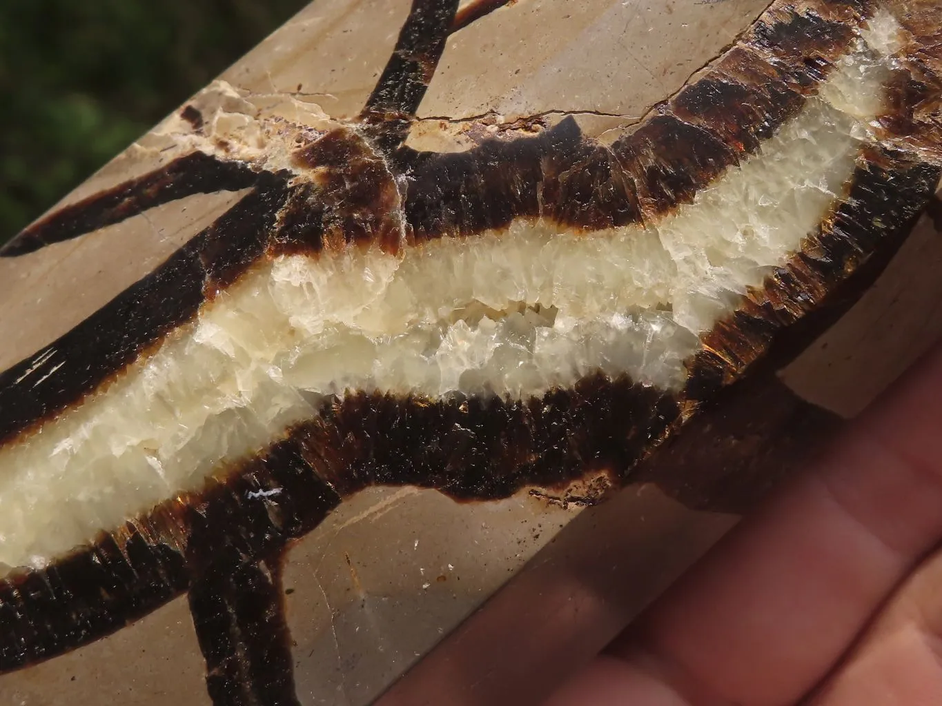 Polished Septarian Points x 2 From Madagascar