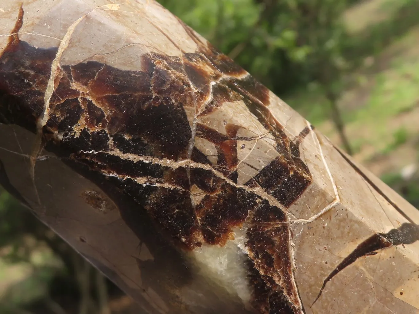 Polished Septarian Points x 2 From Madagascar