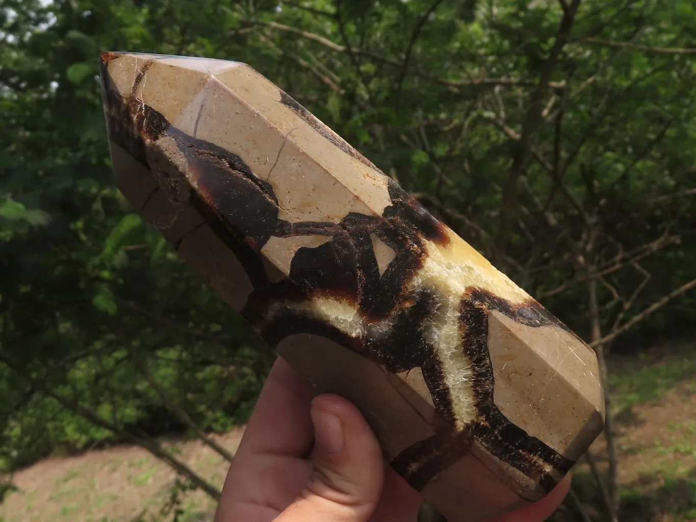 Polished Septarian Points x 2 From Madagascar