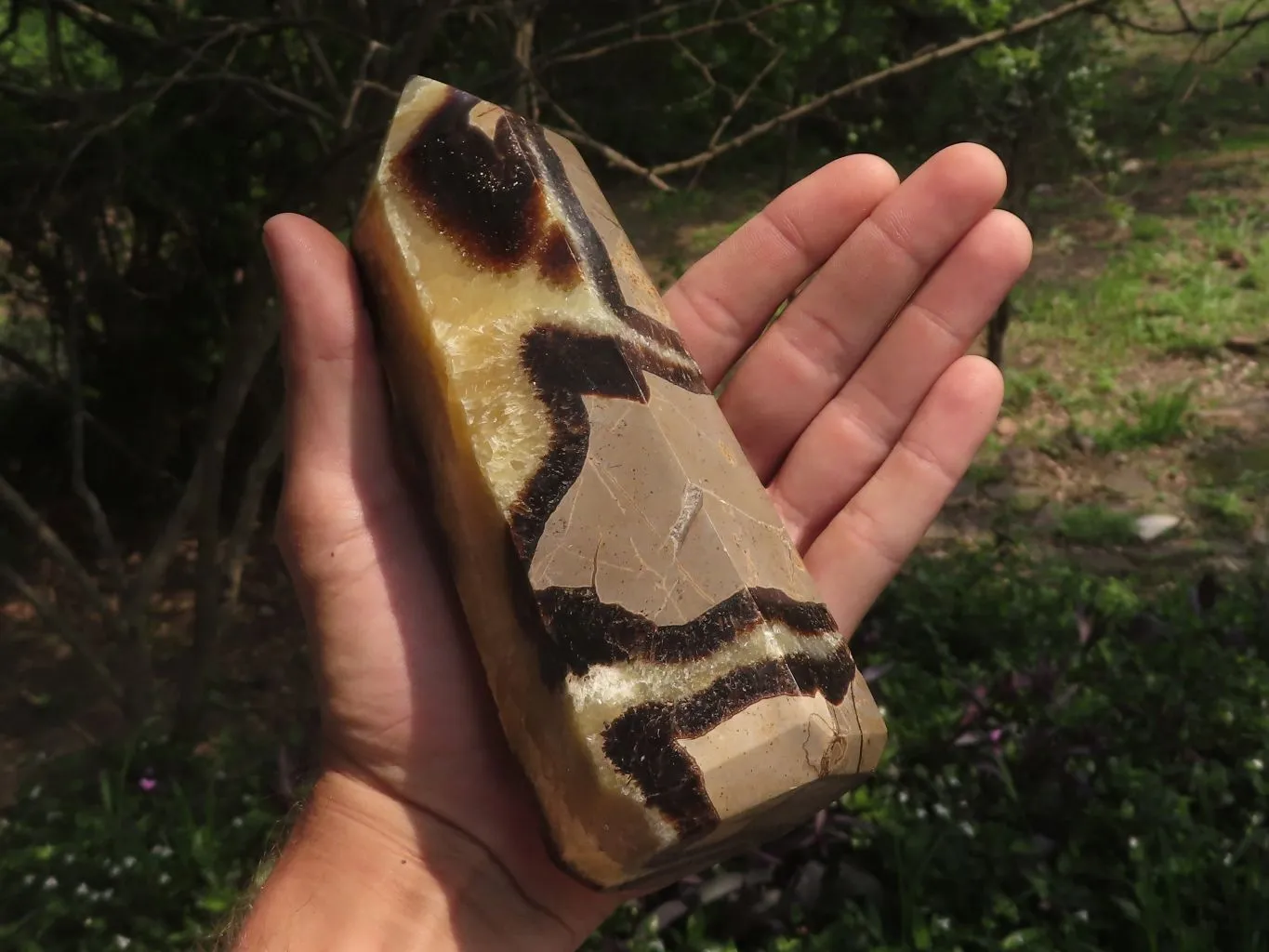 Polished Septarian Points x 2 From Madagascar