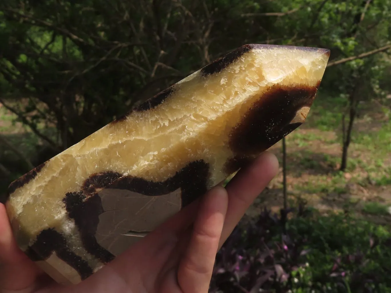 Polished Septarian Points x 2 From Madagascar