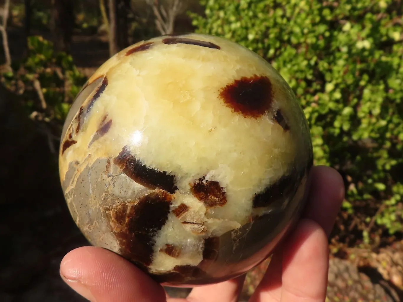 Polished Septerye (Calcite & Aragonite) Spheres x 2 From Mahajanga, Madagascar