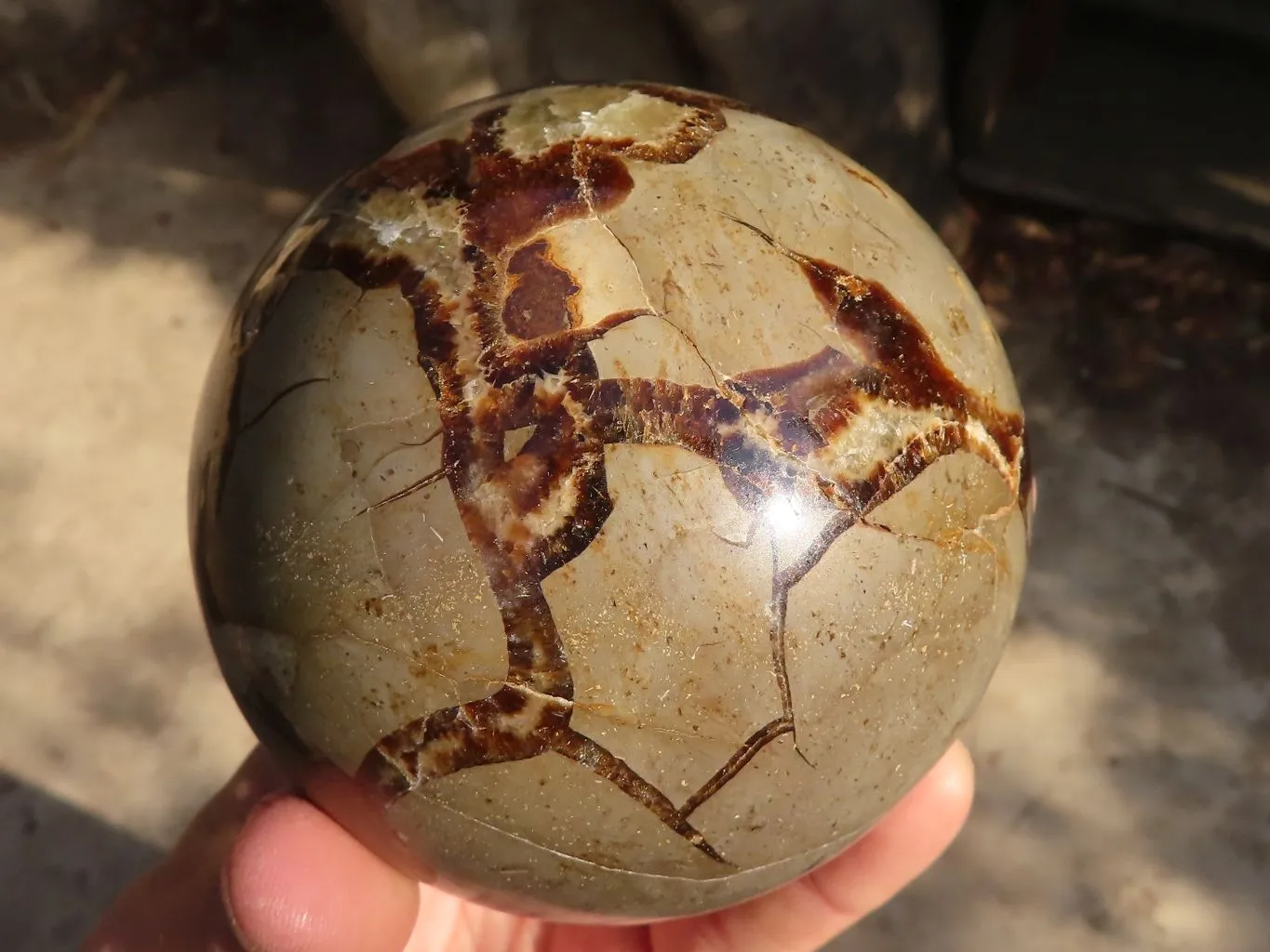 Polished Septerye (Calcite & Aragonite) Spheres x 2 From Mahajanga, Madagascar