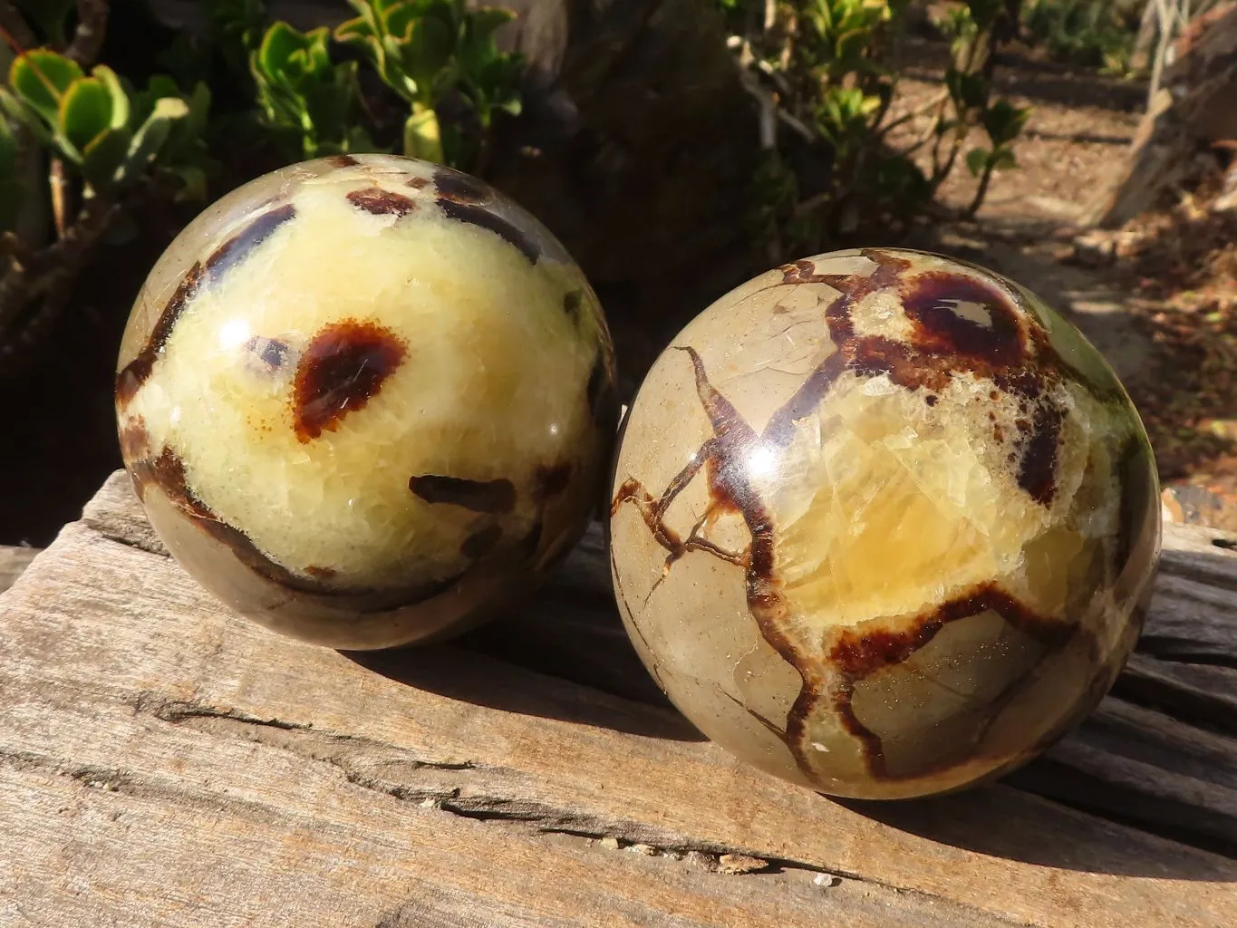 Polished Septerye (Calcite & Aragonite) Spheres x 2 From Mahajanga, Madagascar