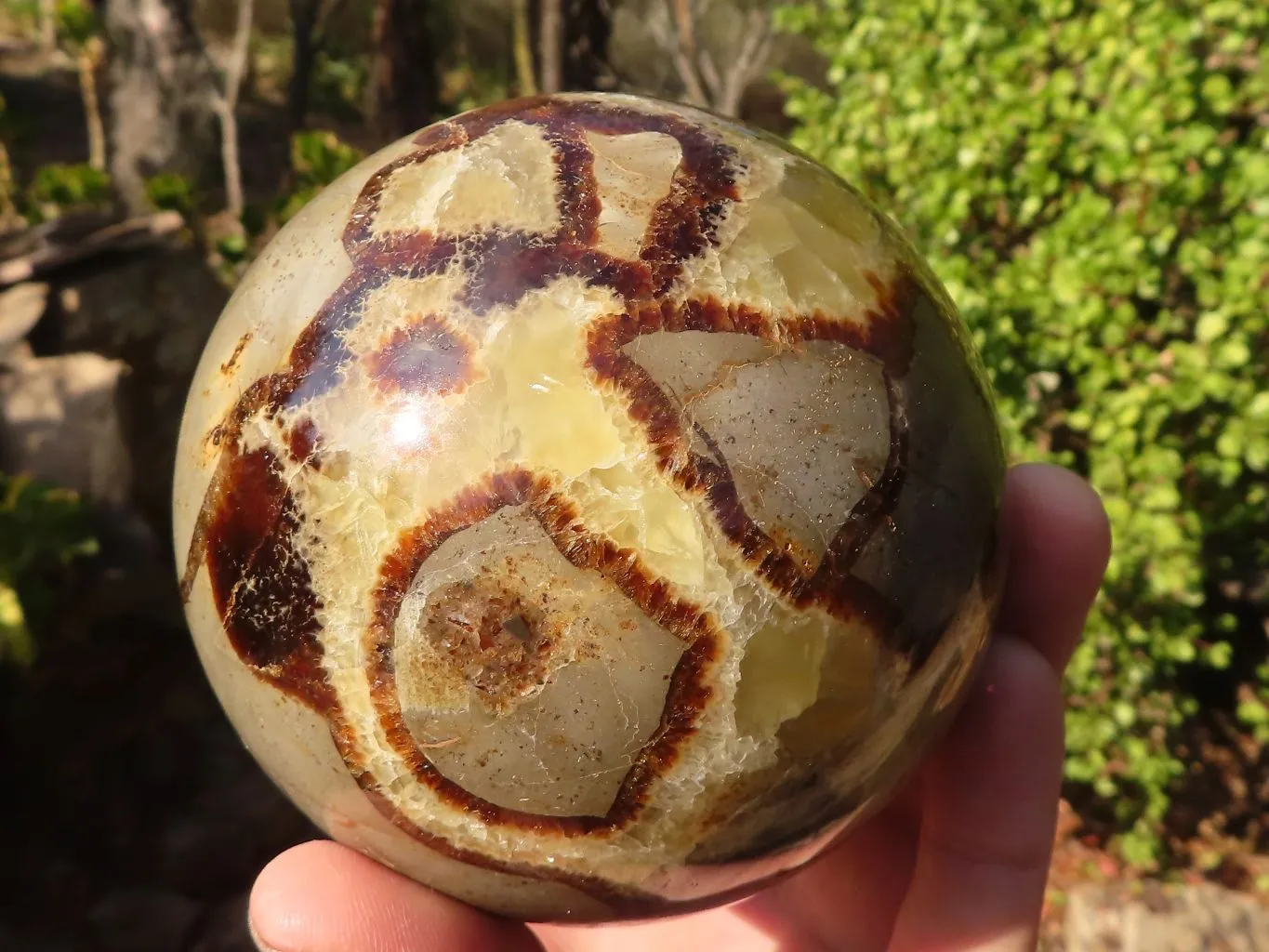 Polished Septerye (Calcite & Aragonite) Spheres x 2 From Mahajanga, Madagascar