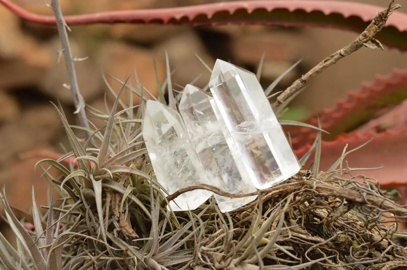 Polished Small Semi Optic Quartz Points x 35 From Madagascar