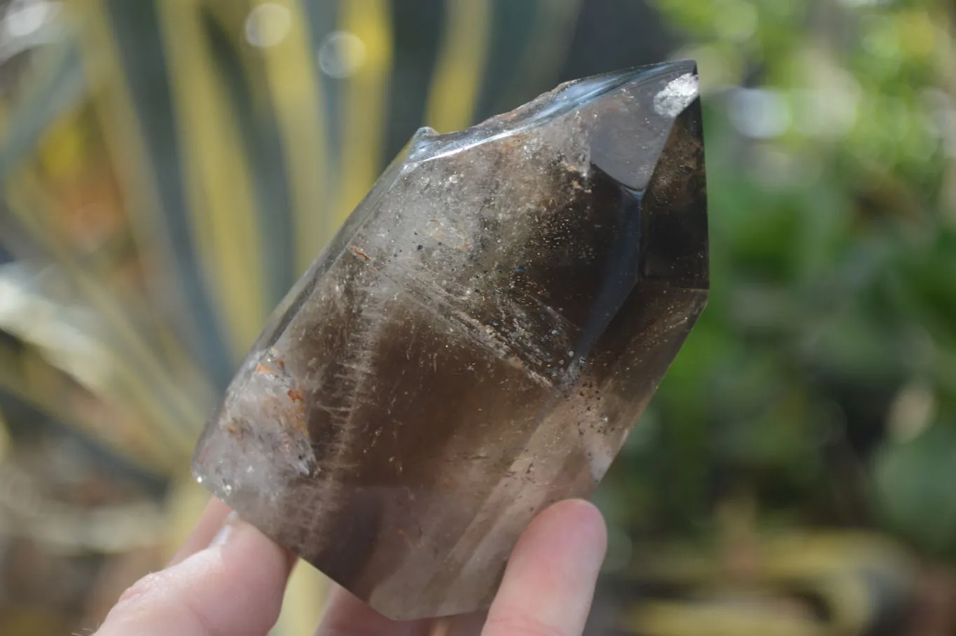 Polished Smokey Banded Window Quartz Crystals x 2 From Ankazobe, Madagascar