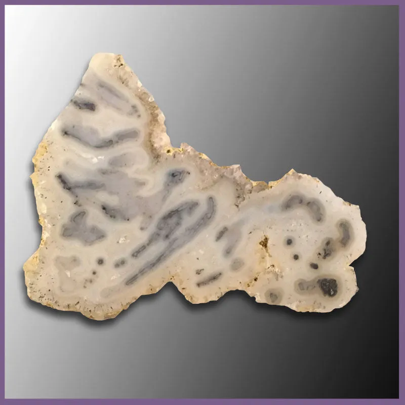 TUBt489 Tube Agate Specimen